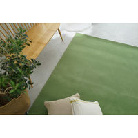 スミノエ コンシェルジュ WOOL REX 防炎 ラグ ウールレックス WR33 3000×3500mm イローグリーン 1枚（直送品）