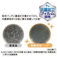 リード 冷凍も冷蔵も新鮮保存バッグ ダブルジッパー S 抗菌加工フィルム採用 25枚入 1セット（1個×6）ライオン