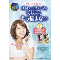 ウテナ プロカリテ　ＥＸストレートパーマ　ロング用 4901234347618 1セット×3点（直送品）