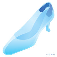 ショールズウェルネスカンパニー ドクター・ショール ヒール・グリップ 188829 1個×12点（直送品）