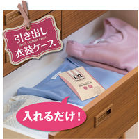 白元アース ミセスロイド スタイルメイト 消臭・ダニよけバッグ ホワイトローズムスクの香り 12422-0 2個×6点（直送品）