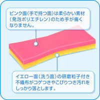 旭化成ホームプロダクツ ズビズバ 魚焼きグリルみがき 321010 5個×72点（直送品）