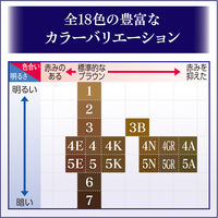 ダリヤ サロンドプロ　無香料ヘアカラー　早染めクリーム（白髪用）　４ＧＲ　グレイスブラウン 4904651183487 1個×3点（直送品）