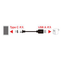 USB Type-Cケーブル　USB-A（オス）USB-C（オス）　1m　KU-MMGCA1K　サンワサプライ　1本