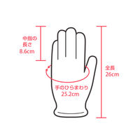 伊藤忠リーテイルリンク ポリエチレン手袋（TPE） 内エンボス　L SLDT-L 20箱（2000枚：20箱×100枚入）