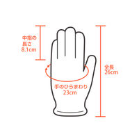 伊藤忠リーテイルリンク ポリエチレン手袋（TPE） 内エンボス　M SLDT-M 20箱（2000枚：20箱×100枚入）