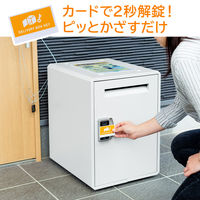 サンワサプライ 宅配ボックス(置き配・大容量・50リットル・カード式解錠) 300-DLBOX013 1台（直送品）