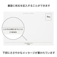 ヘッズ ギフト筆ポストカード-2/お祝 500枚(50枚×10) GIF-PCD2 1セット(500枚入)（直送品）