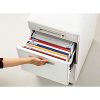 ライオン事務器 ホルダーファイル〈ビジカル〉 フタ付 A4E PH-12BF ホワイト(白) 13794 1セット(1冊×5)