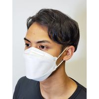 【防塵マスク】 エイ・エム・ジェイ ピッタリ空間マスク30枚入 PS-30W 白 1箱（30枚入）