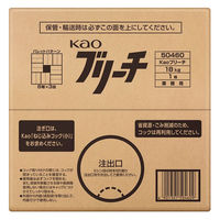 Kaoブリーチ バッグインボックス 18kg 1個 花王