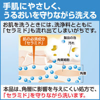 ソフティEX-CARE泡ハンドウォッシュ 本体500mL 1個 泡ハンドソープ 花王