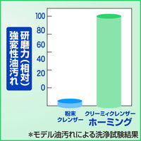 クリーミィクレンザーホーミング 業務用 6kg 1箱（3個入） 花王