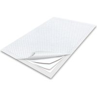 サノテック おっ!トクペットシーツワイド100枚 151666 1箱（4パック入り）（直送品）