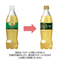 【炭酸飲料】　カナダドライ ジンジャーエール 700ml 1箱（20本入）