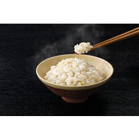 パックごはん もち麦ごはん 国産米100%使用 195kcal 150g×3パック入 1セット（5個） はくばく 包装米飯