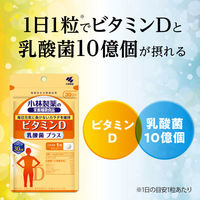 ビタミンD 乳酸菌プラス 約30日分(30粒入り)【小林製薬の栄養補助食品】　1セット（1袋×6）　サプリメント