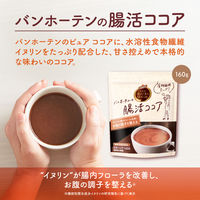 片岡物産 バンホーテンの腸活ココア 1セット（160g×3袋）