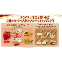 フルーツ好きのためのフルグラいちご 400g 6袋 カルビー グラノーラ