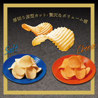 ヤマザキビスケット アツギリ贅沢ポテト フランス産岩塩使用しお 1セット（6袋）