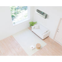 コジット エアコンのカビにバイオのチカラプラス 344397 1セット(10個)