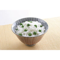 スケーター ご飯メーカー（スノコ付き蒸し器対応） 1合炊き ベーシック UDG1 1個（直送品）