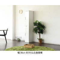 【設置込】サン キッチンボード スリムII 上 片開き・下 片開き 30TT ホワイト 幅300×奥行400×高さ1800mm 1台（取寄品）