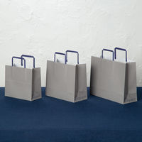 アスクルカタログリサイクル紙袋「Come bag/カムバッグ」平紐タイプ 220×200×100mm 1袋（50枚入） オリジナル