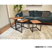 タマリビング ドム サイドテーブル 幅450×奥行450×高さ470mm ブラウン 50003219 1セット(3台入)（直送品）