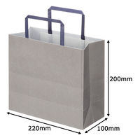 アスクルカタログリサイクル紙袋「Come bag/カムバッグ」平紐 220×200×100mm 1箱（300枚） オリジナル