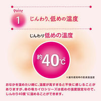 桐灰カイロ じんわり温かい おなか用カイロ 貼るタイプ 1ケース（240個：10個入り×24パック） 桐灰 小林製薬