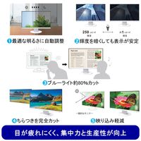 EIZO 23.8インチ液晶モニター 画面回転機能/上下昇降機能 EV2460-BK 1台