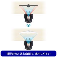 EIZO 37.5インチウルトラワイドモニタ- EV3895-BK 上下昇降機能 1台