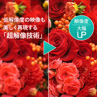 アイ・オー・データ機器 27インチワイド液晶モニター LCD-CF271EDB-A 1台