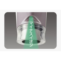 パナソニック ヘアードライヤー イオニティ EH-NE5G-T 1台