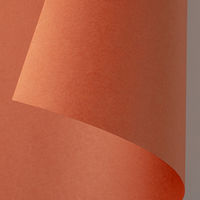 ゴークラ 色画用紙 ジャンボロールR 10m巻 茶 1巻 JR236