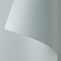 ゴークラ 色画用紙 ジャンボロールR 10m巻 灰 1巻 JR240