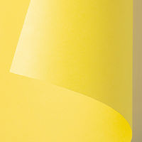 ゴークラ 色画用紙 ジャンボロールR 10m巻 レモン 1巻 JR319