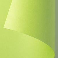 ゴークラ 色画用紙 ジャンボロールR 10m巻 黄緑 1巻 JR212