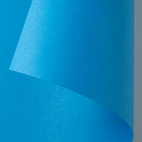 ゴークラ 色画用紙 ジャンボロールR 10m巻 青 1巻 JR239