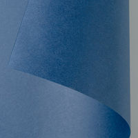 ゴークラ 色画用紙 ジャンボロールR 10m巻 あいいろ 1巻 JR320