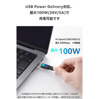 USB-C マグネット 変換アダプタ 100W PD対応 着脱式コネクタ ブラック MPA-CECMAADBK エレコム 1個（直送品）