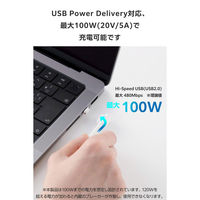USB-C マグネット 変換アダプタ L字型 100W PD対応 着脱式コネクタ 白 MPA-CECMAADLWH エレコム 1個（直送品）