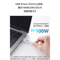 USB-C マグネット 変換アダプタ 100W PD対応 着脱式コネクタ ホワイト MPA-CECMAADWH エレコム 1個（直送品）