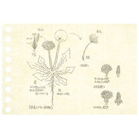 マルマン ミニサイズ クロッキーリーフミニ L1437A 1セット(10パック)（直送品）