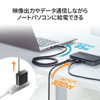 サンワサプライ ドッキングステーション(HDMI×2画面出力・LAN端子なし) USB-CVDK17 1個