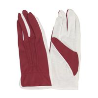 ウインセス エンジ ドライブ・礼装用手袋L 1袋(12双入) * 1袋 69-4693-72（直送品）