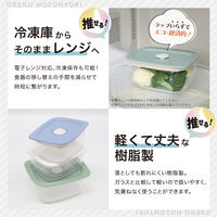 推せる保存容器・中 450ml 電子レンジ対応 レッド 1個 台和