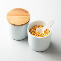 多孔質セラミック吸湿スプーン 小さじ1/2 約5mL karari HO2160 1セット（1個×3） 計量スプーン アネスティ