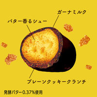 クランチチョコレート ガーナ　ザクほろ発酵バターシュー＆クッキー　ポップジョイ　26g 1セット（1個×12）